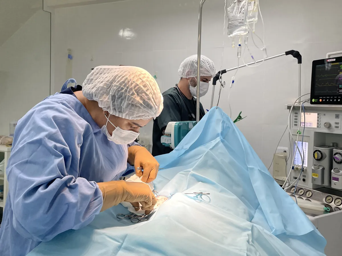 Equipe veterinária em cirurgia no hospital da Vida Animal